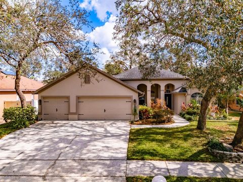 A home in RIVERVIEW