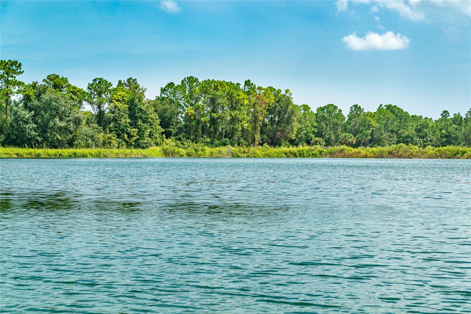 Assessors Sibbald Grant - Residential