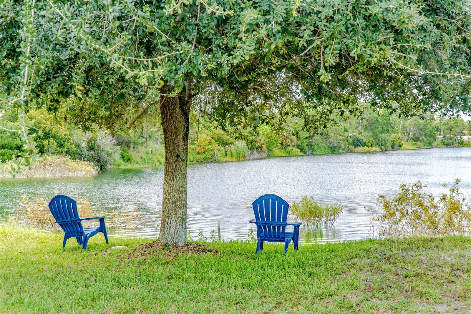 Assessors Sibbald Grant - Residential