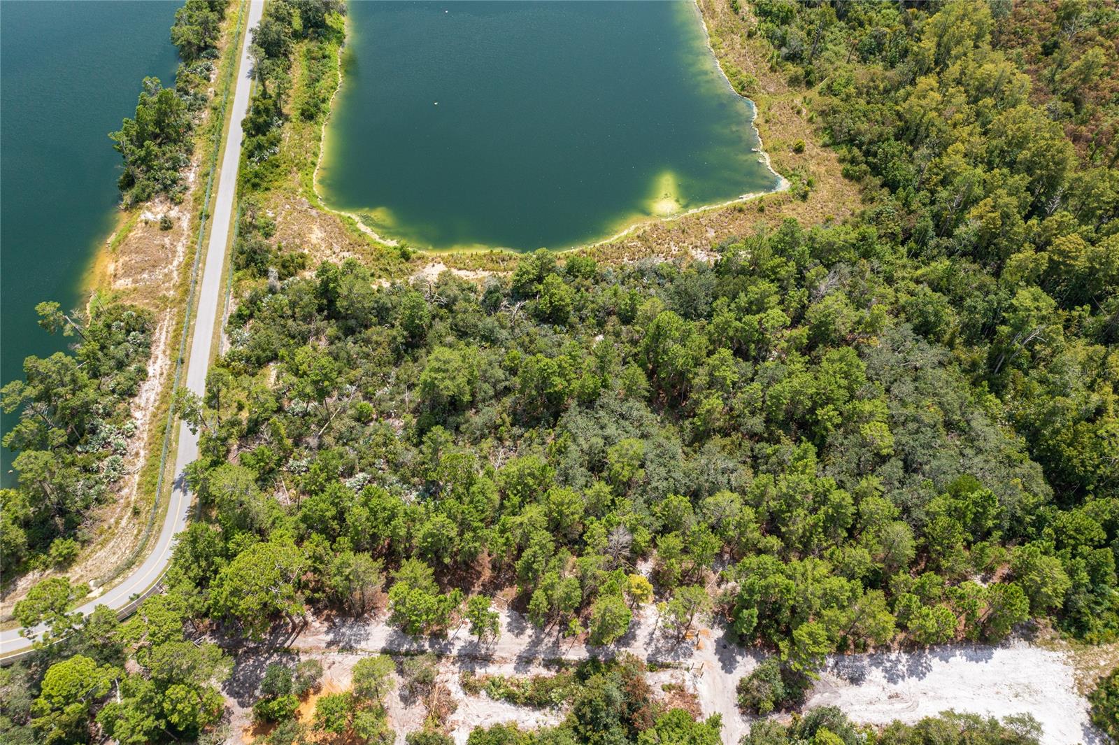 Assessors Sibbald Grant - Residential