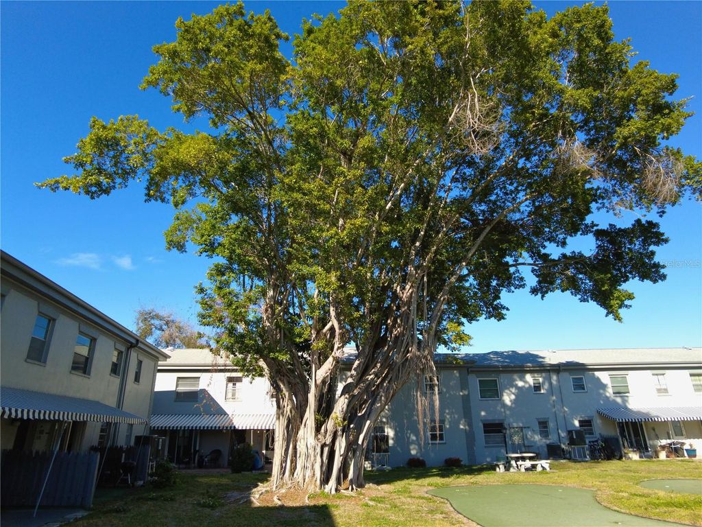 Photo of 6930 Place De La Paix #2B, South Pasadena, FL 33707 (MLS # TB8474068)