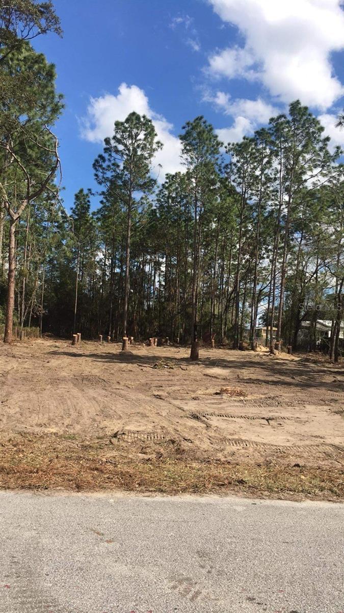 BELLEVIEW RIDGE ESTATE - Land