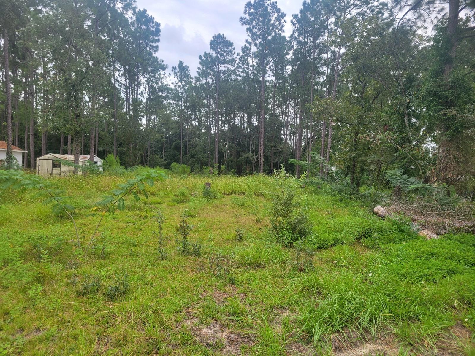 BELLEVIEW RIDGE ESTATE - Land