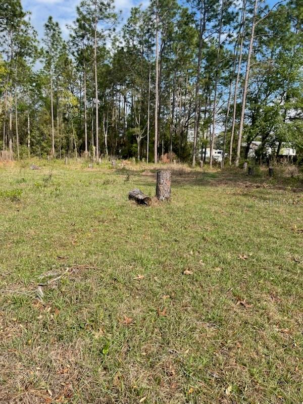 BELLEVIEW RIDGE ESTATE - Land