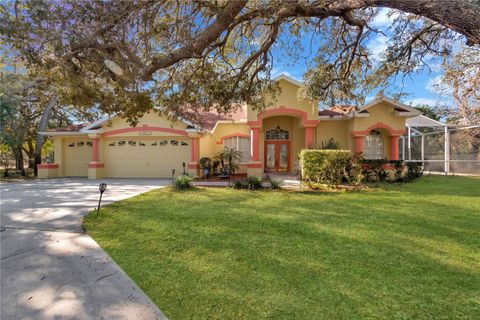 Photo of 18041 Owego Street, Hudson, FL 34667 (MLS # TB8467918)