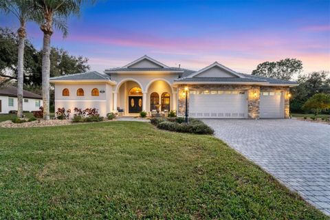Photo of 6410 Butlers Crest Drive, Bradenton, FL 34203 (MLS # A4681806)