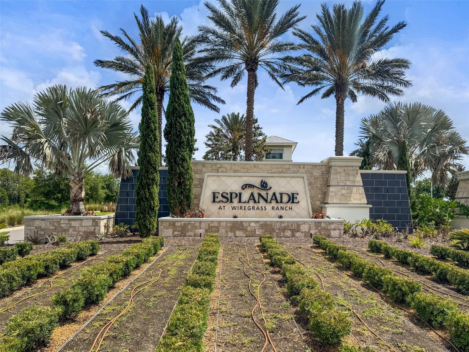 ESPLANADE/WIREGRASS - Residential