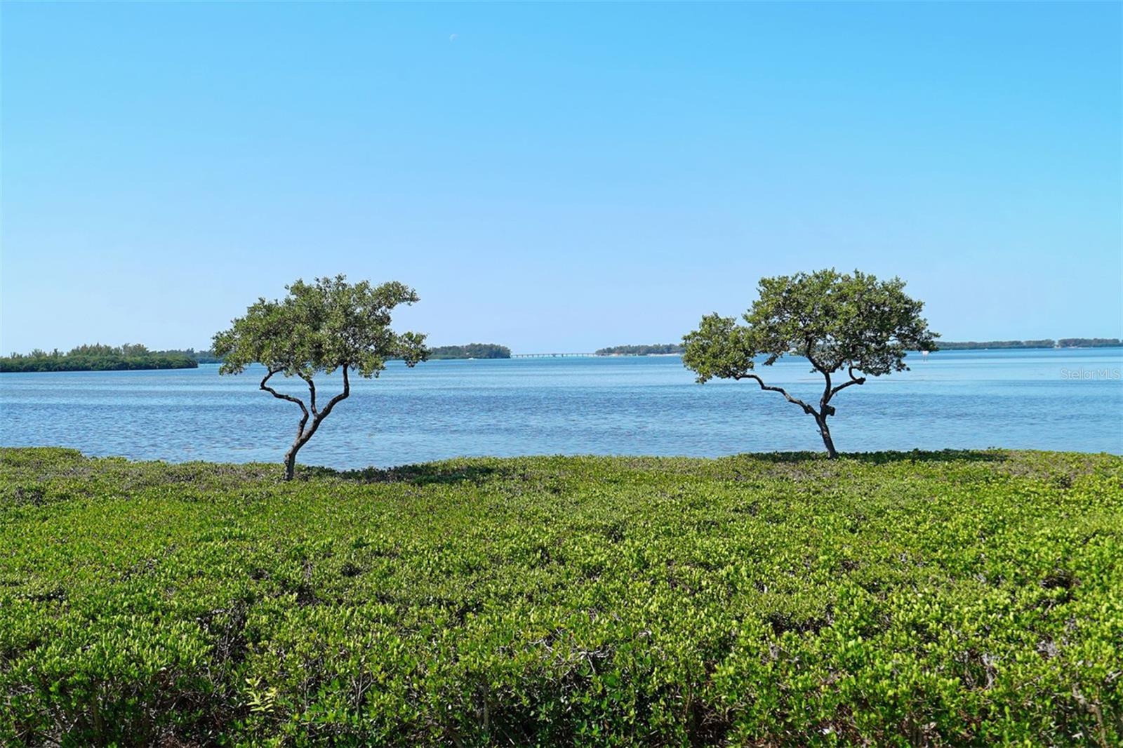 MOUNT VERNON PH 3 - Residential