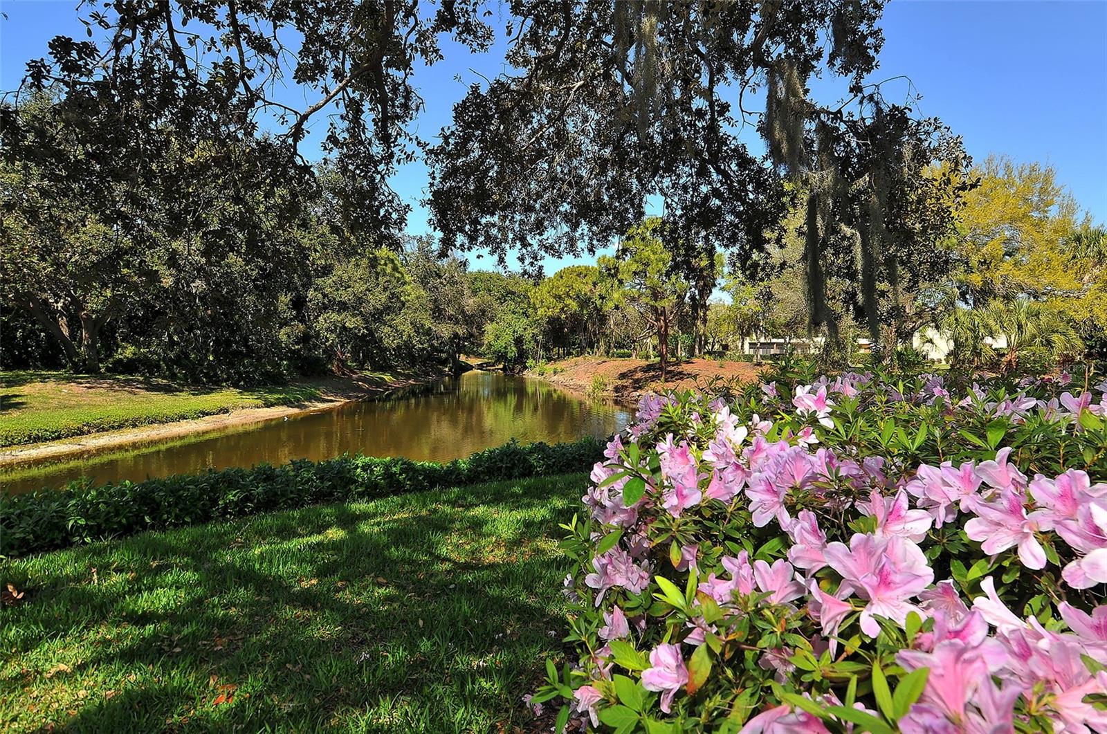 WILDEWOOD SPGS II-B - Residential