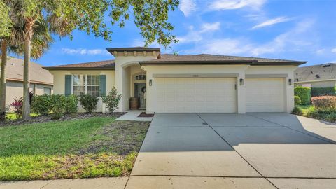 15706 STARLING WATER DRIVE LITHIA FL 33547