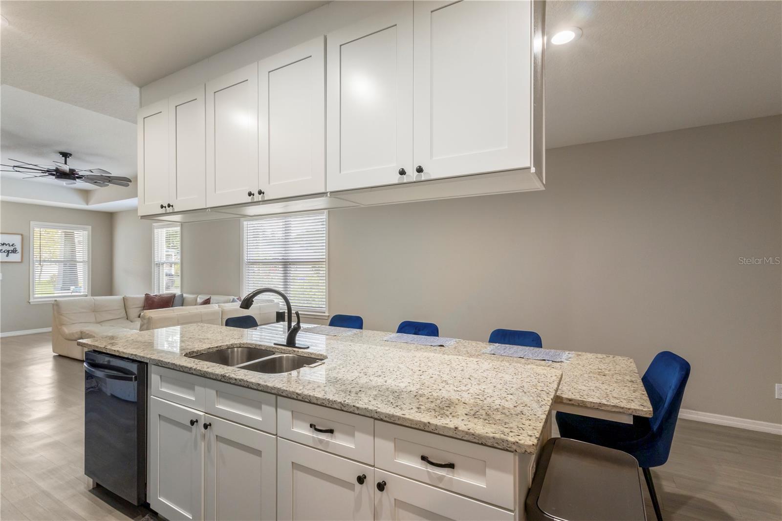 WASHINGTON PARK - Residential