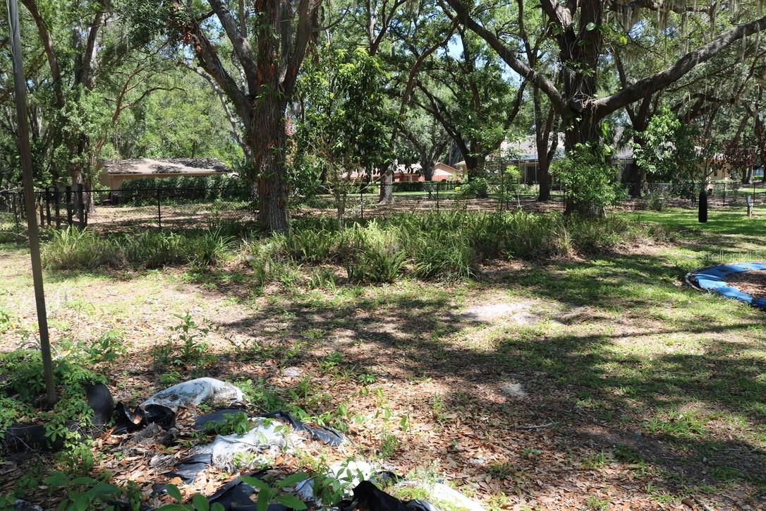 REEDS LIVINGSTON AVE MINOR SUB - Residential