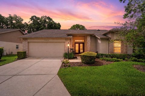 Photo of 7392 Meadow Brook Lane, Spring Hill, FL 34606 (MLS # W7887684)