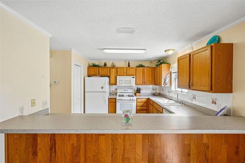 Tiny photo for 17167 SE 76th Boxbury Ct, The Villages, FL 32162 (MLS # TB8505329)