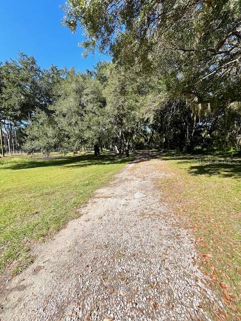 RUNNYMEDE NORTH HALF TOWN OF - Residential Lease