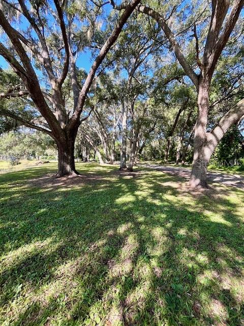 RUNNYMEDE NORTH HALF TOWN OF - Residential Lease