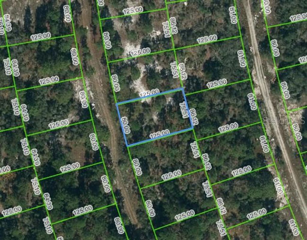 Photo of 217 Blue Horizon Drive, Lake Placid, FL 33852 (MLS # OM623437)
