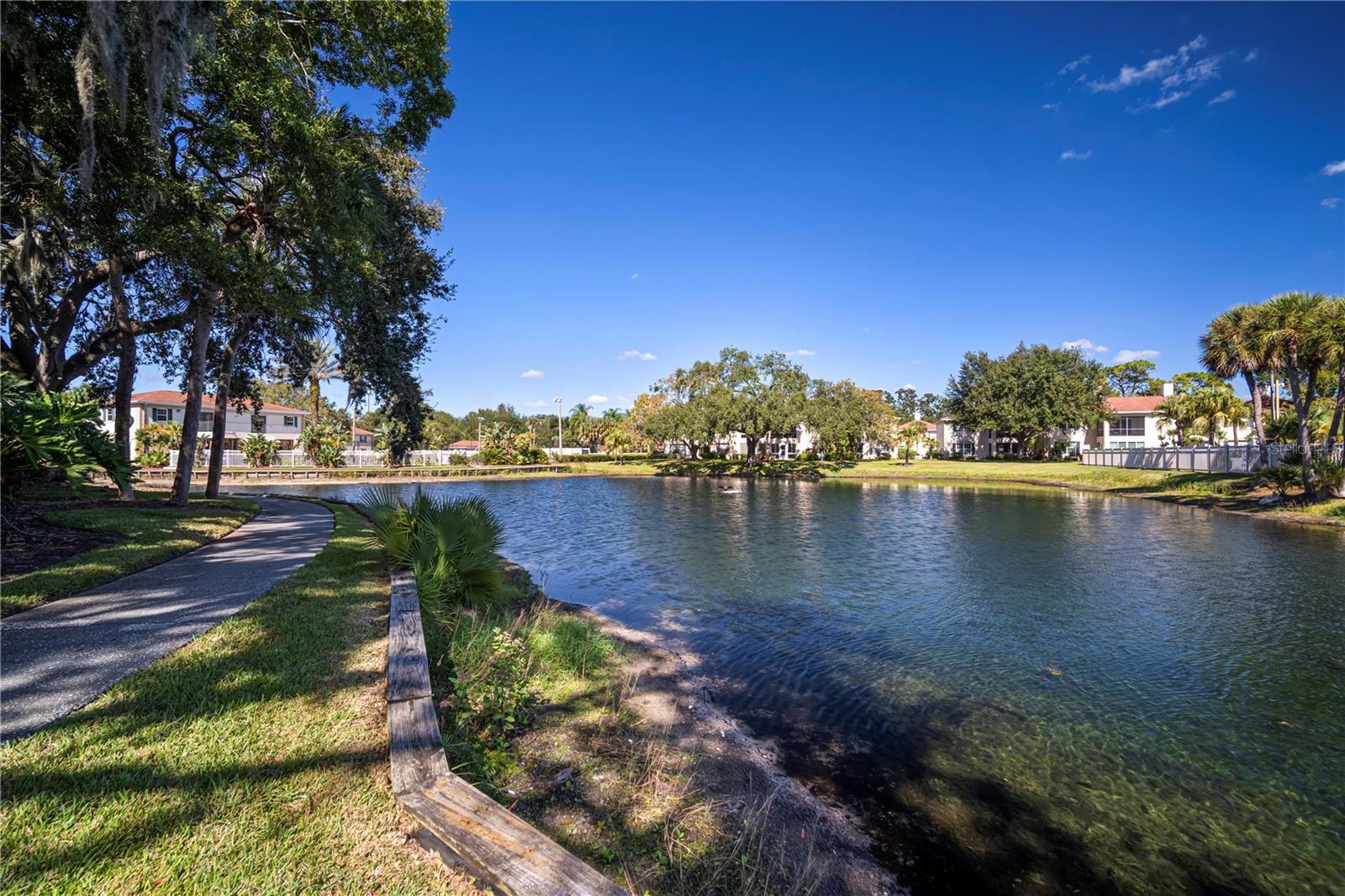 THE GRAND AT OLDE CARROLLWOOD CONDOMINIUM - Residential
