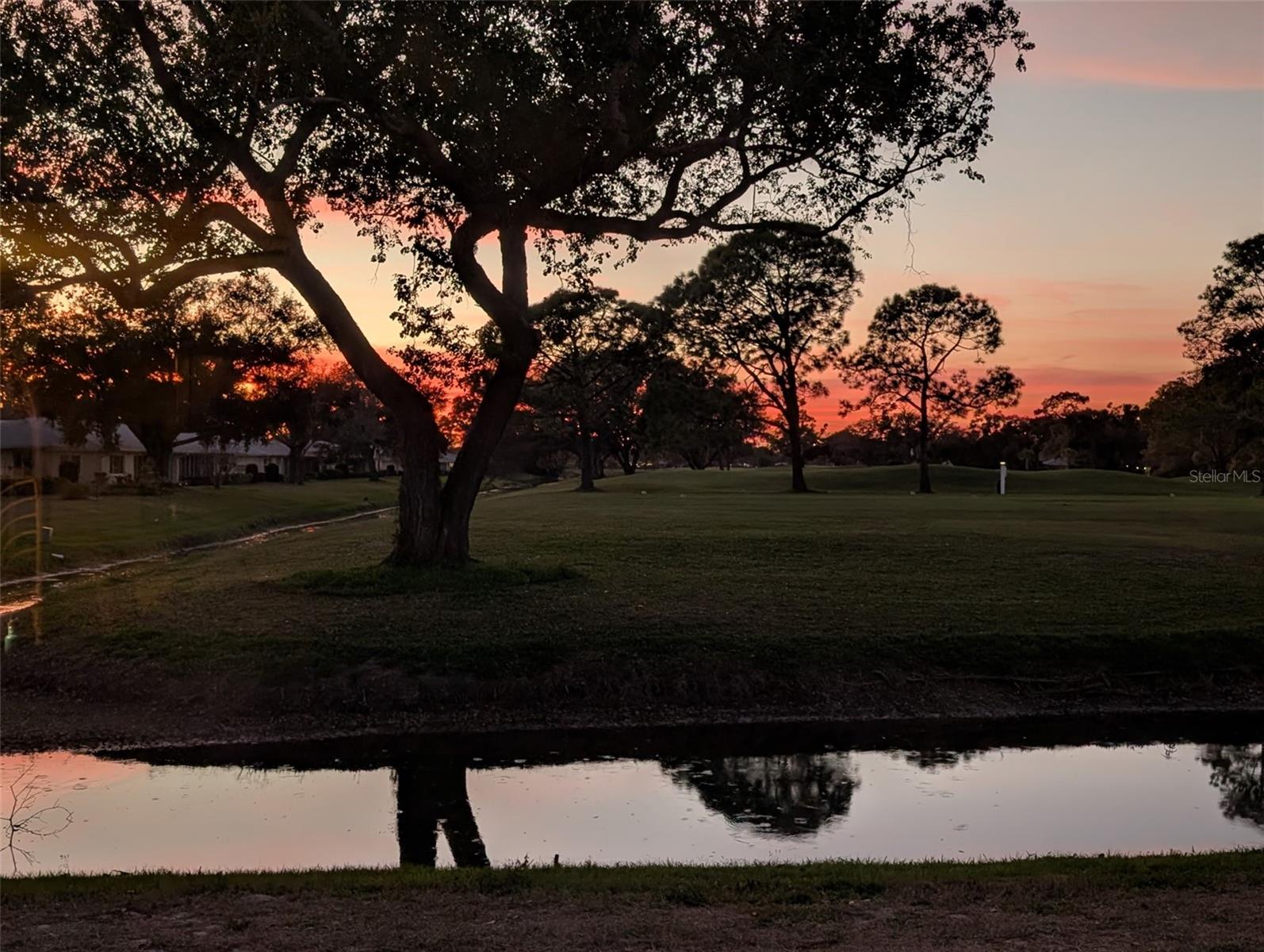 PALM-AIRE AT SARASOTA 8-A - Residential