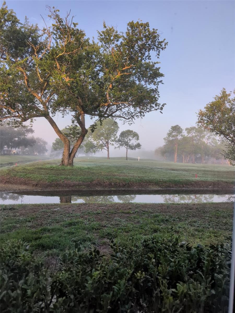 PALM-AIRE AT SARASOTA 8-A - Residential