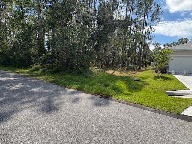PALM COAST SEC 60 - Land