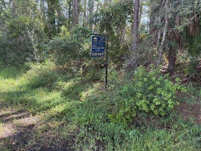 PALM COAST SEC 60 - Land