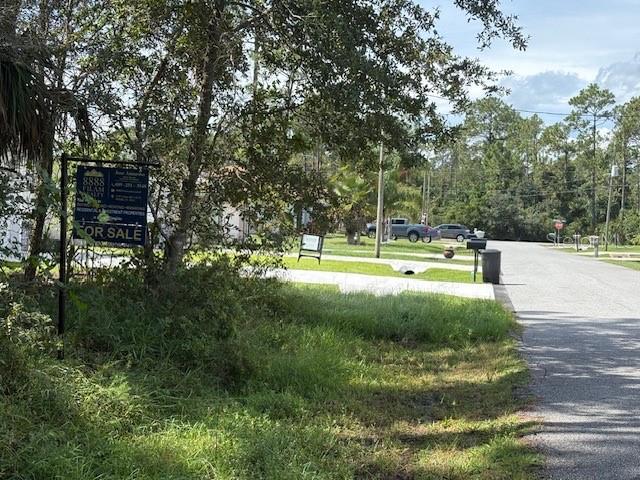 PALM COAST SEC 60 - Land