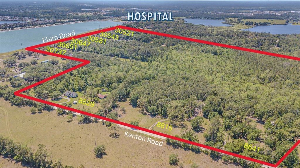 Photo of 8529 Kenton Road, Wesley Chapel, FL 33545 (MLS # T3502379)