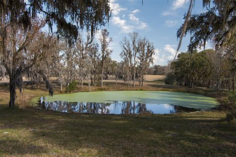 Tiny photo for 11920 SE 22nd Avenue Road, Ocala, FL 34480 (MLS # OM717321)