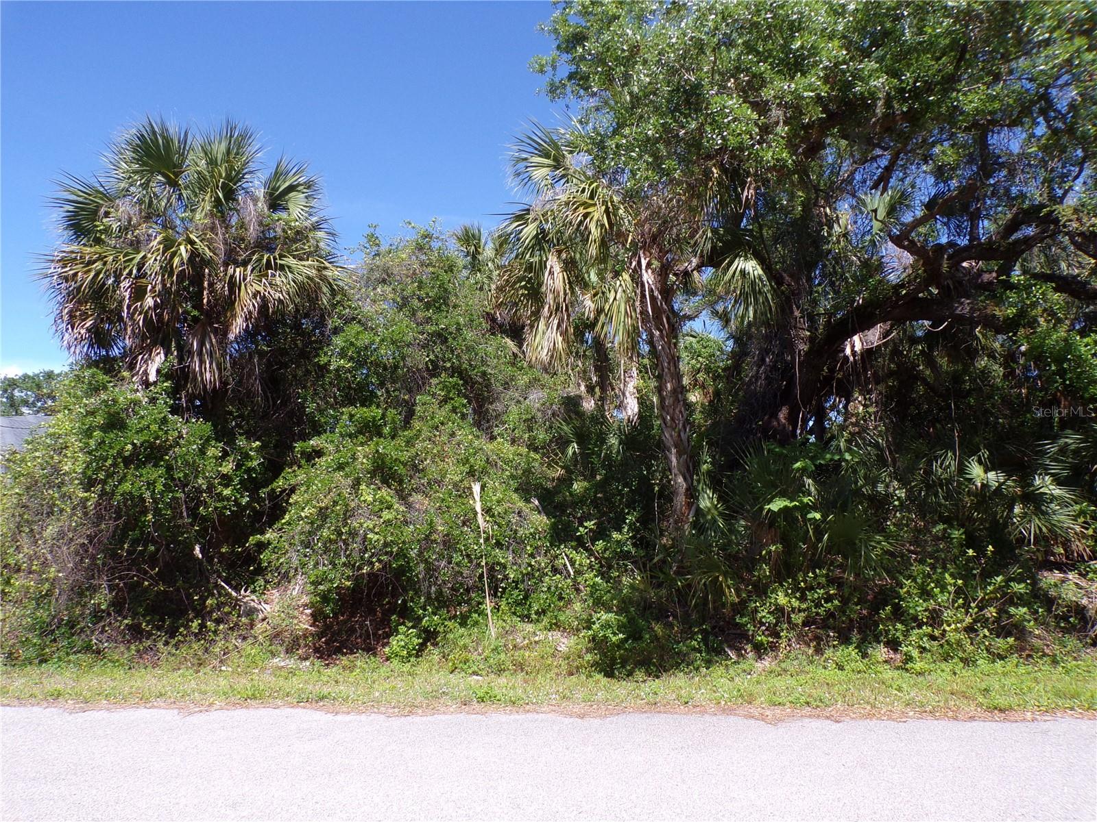 This lot is on a quiet street that would be a great place to build your dream home and retire or raise your family. Less than 7 miles to I75 makes this location an easy commute to almost anywhere, and only 23 miles to Chadwick Park at Manasota Beach with amazing sunsets, 10 miles to Cocoplum Village Shops with lots of shopping and dining options. Atlanta Braves spring training and the fairgrounds are just minutes away, also multiple golf courses and some of the best boating and fishing in all of Florida. Red Soxs, Orioles, Twins and Rays spring training all within an hour’s drive. Buyer and buyers rep responsible for determining environment conditions and endangered species restrictions. This lot is priced to sell so please call for availability! This lot is at a great price point for the investor call today.