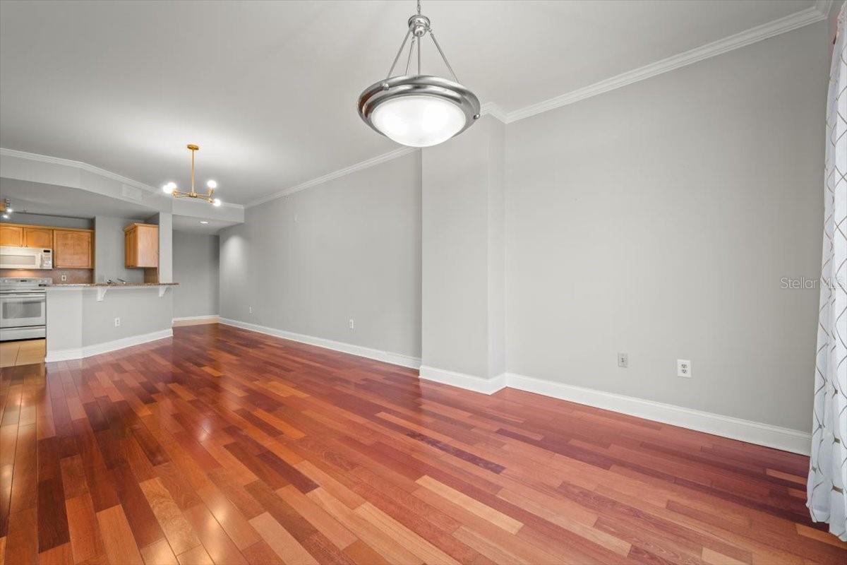 PLAZA CONDO AT BERKMAN - Residential