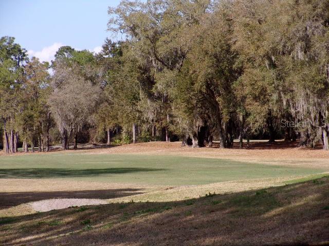 PLANTATION/LEESBURG ARBORDALE - Residential