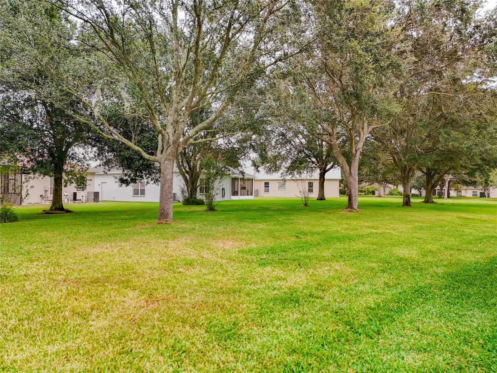 PLANTATION/LEESBURG ARBORDALE - Residential