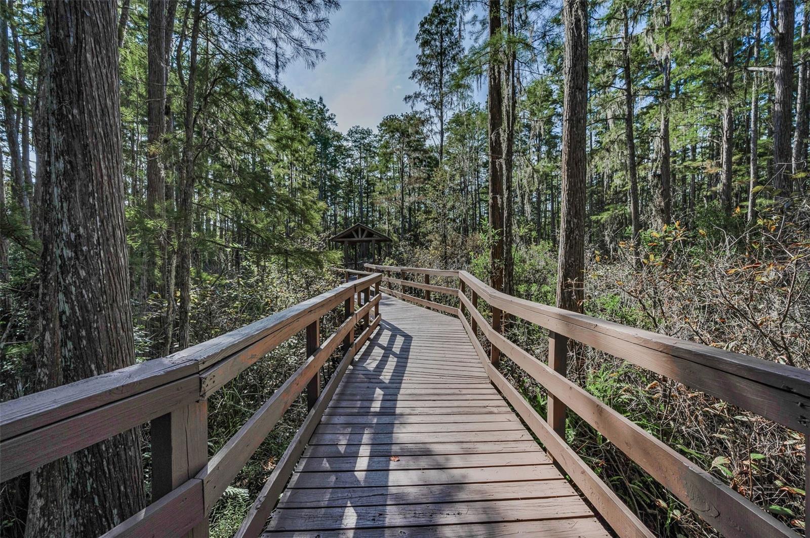 SABAL WYNDTREE A1 A2 A3 B1 - Residential