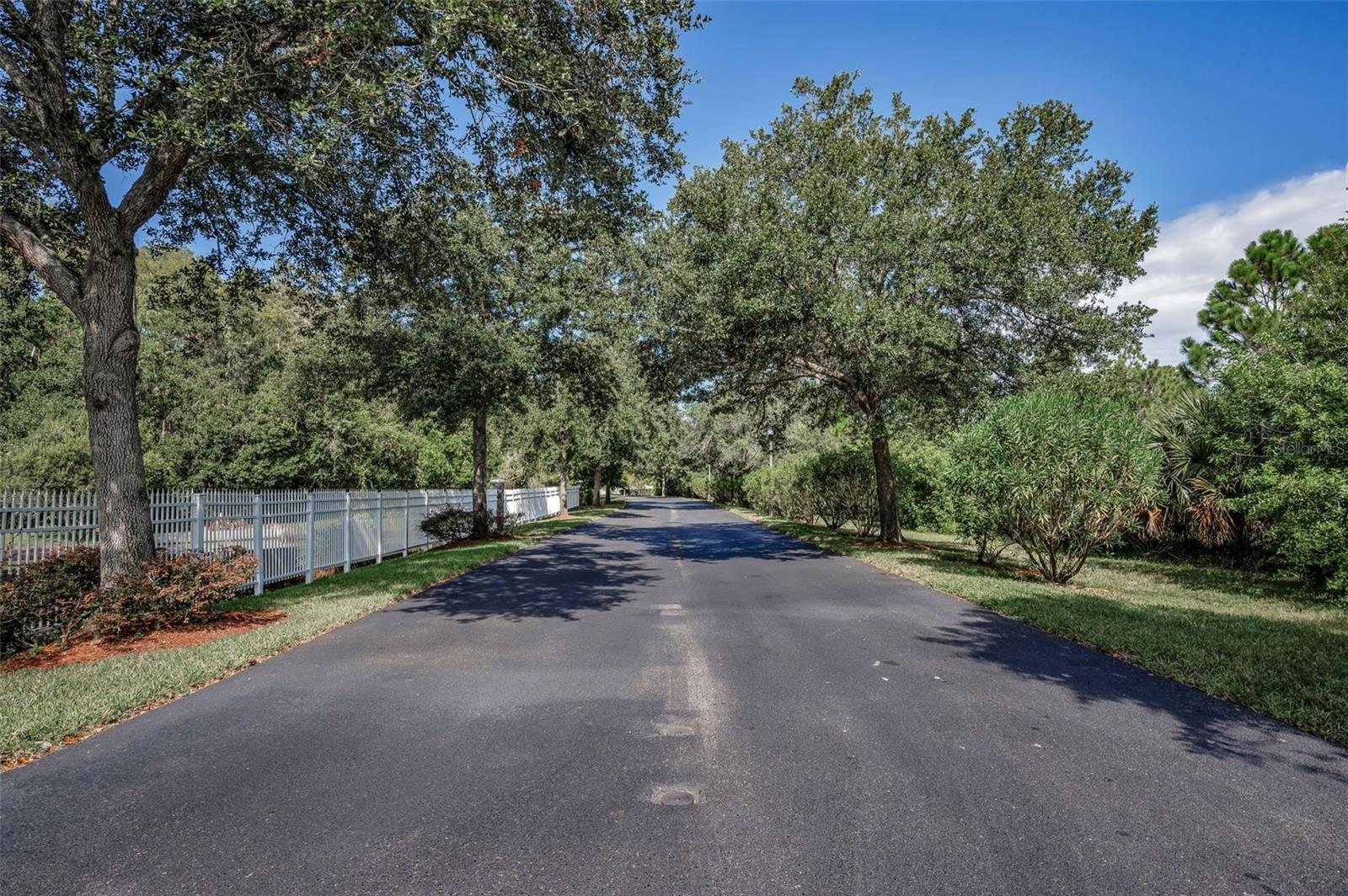 SABAL WYNDTREE A1 A2 A3 B1 - Residential