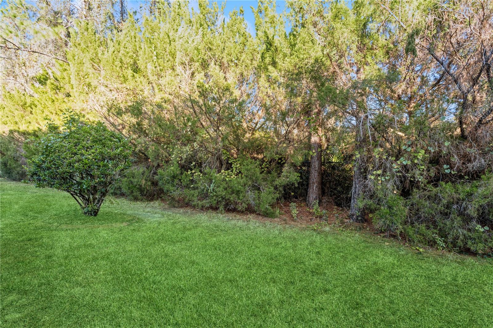 SABAL WYNDTREE A1 A2 A3 B1 - Residential