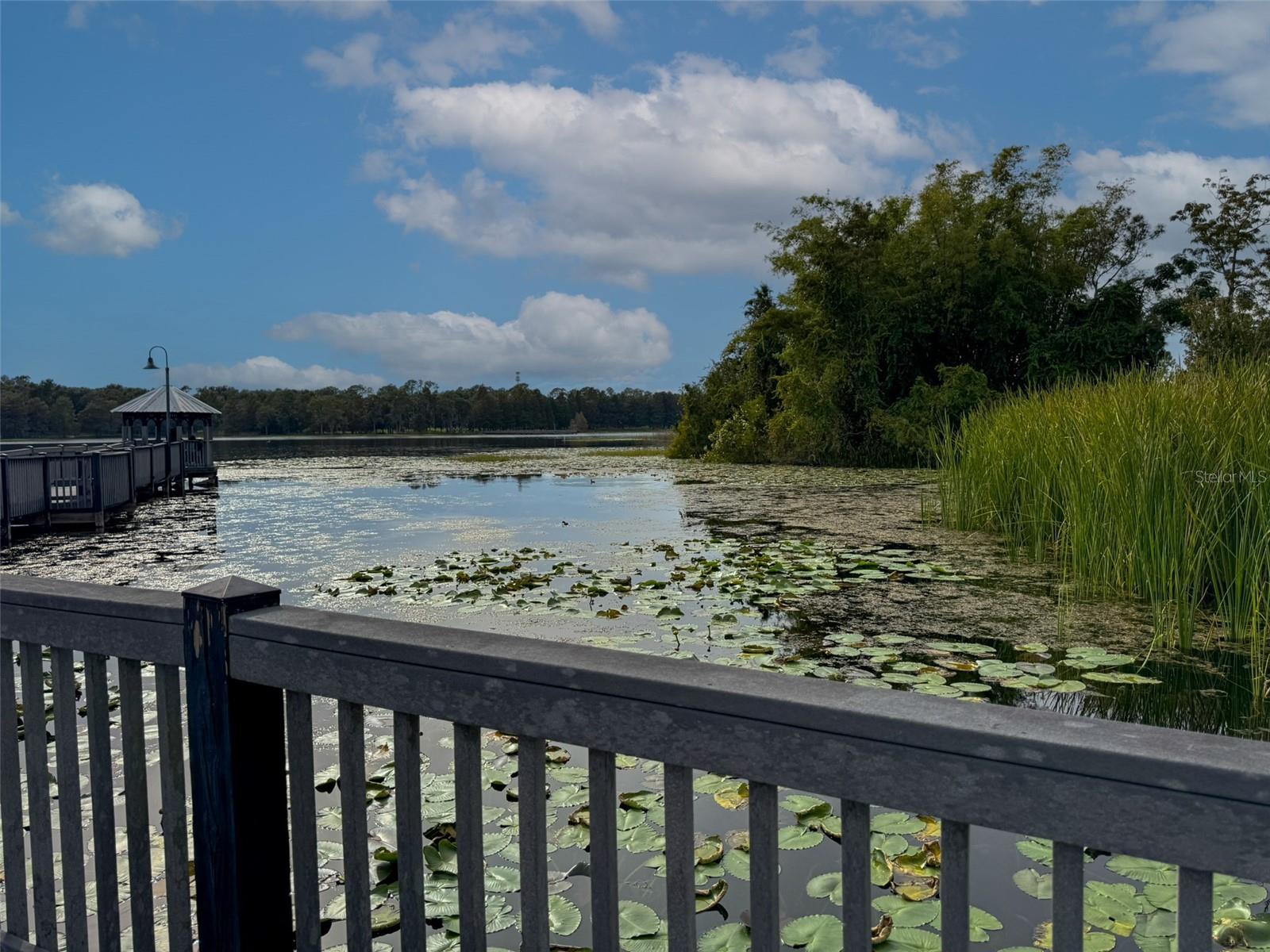 HAMPTONS AT METROWEST - Residential