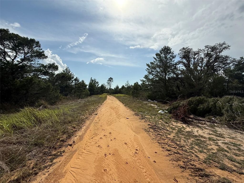 Photo of 2921 W Seville Drive, Avon Park, FL 33825 (MLS # OK225205)