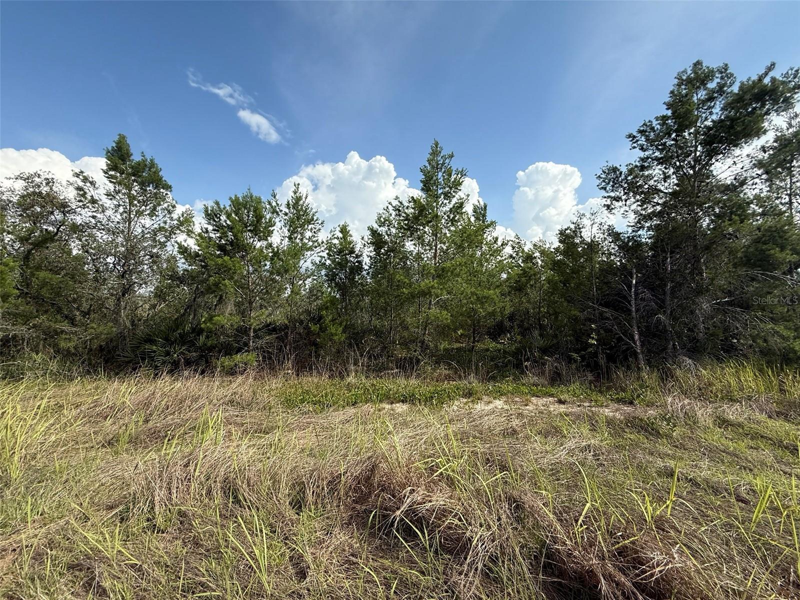 AVON PARK LAKES - Land