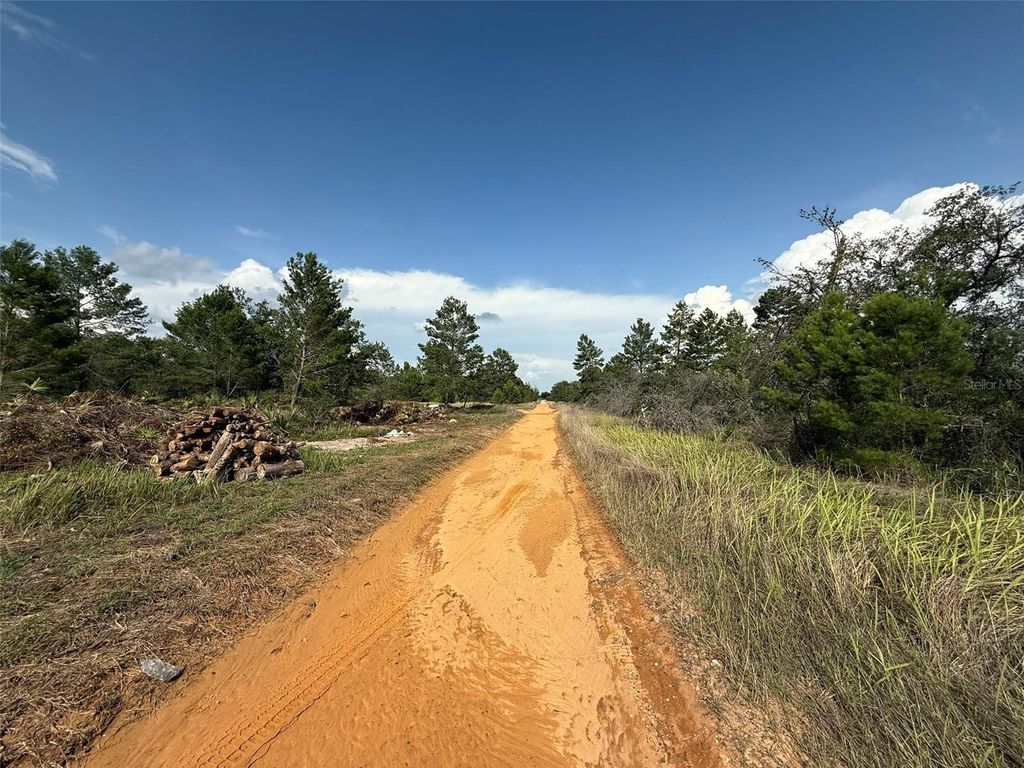 Photo of 2921 W Seville Drive, Avon Park, FL 33825 (MLS # OK225205)