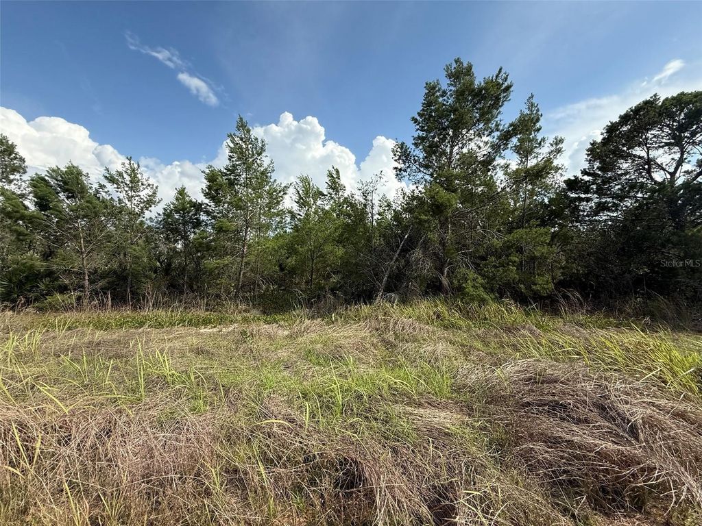 Photo of 2921 W Seville Drive, Avon Park, FL 33825 (MLS # OK225205)