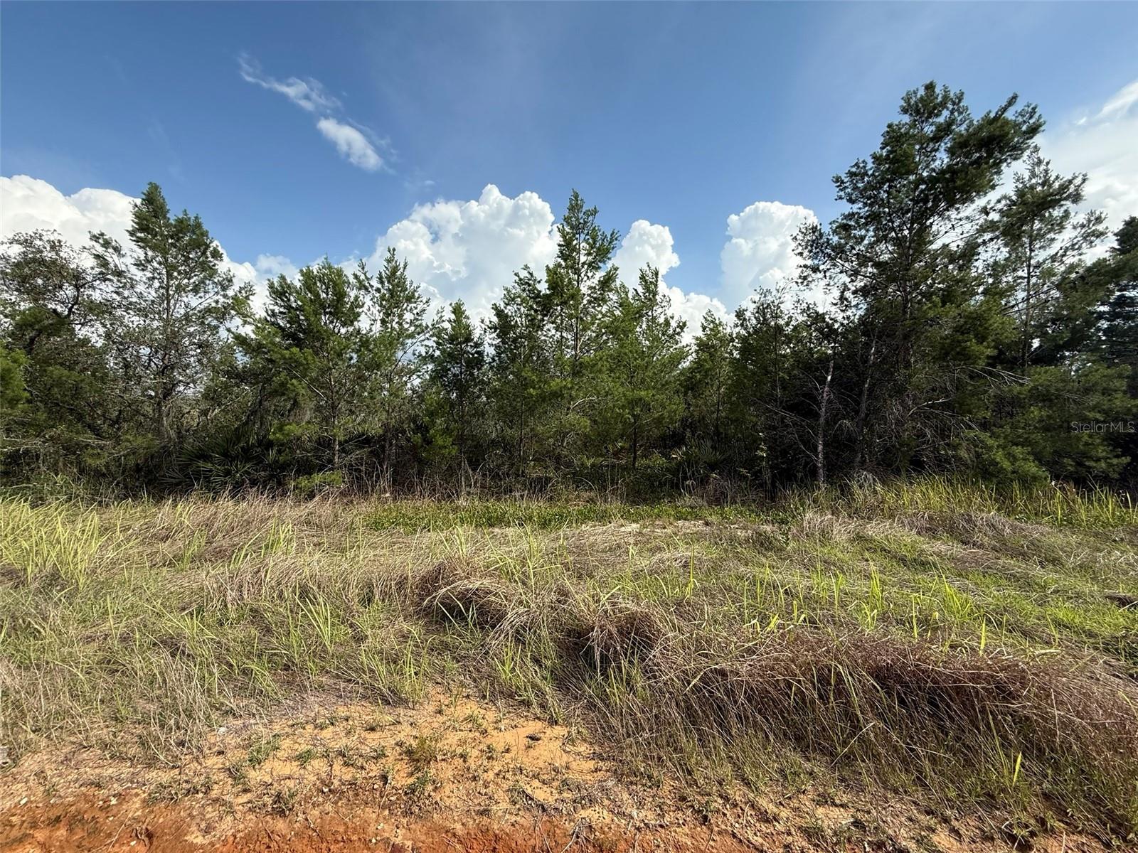 AVON PARK LAKES - Land