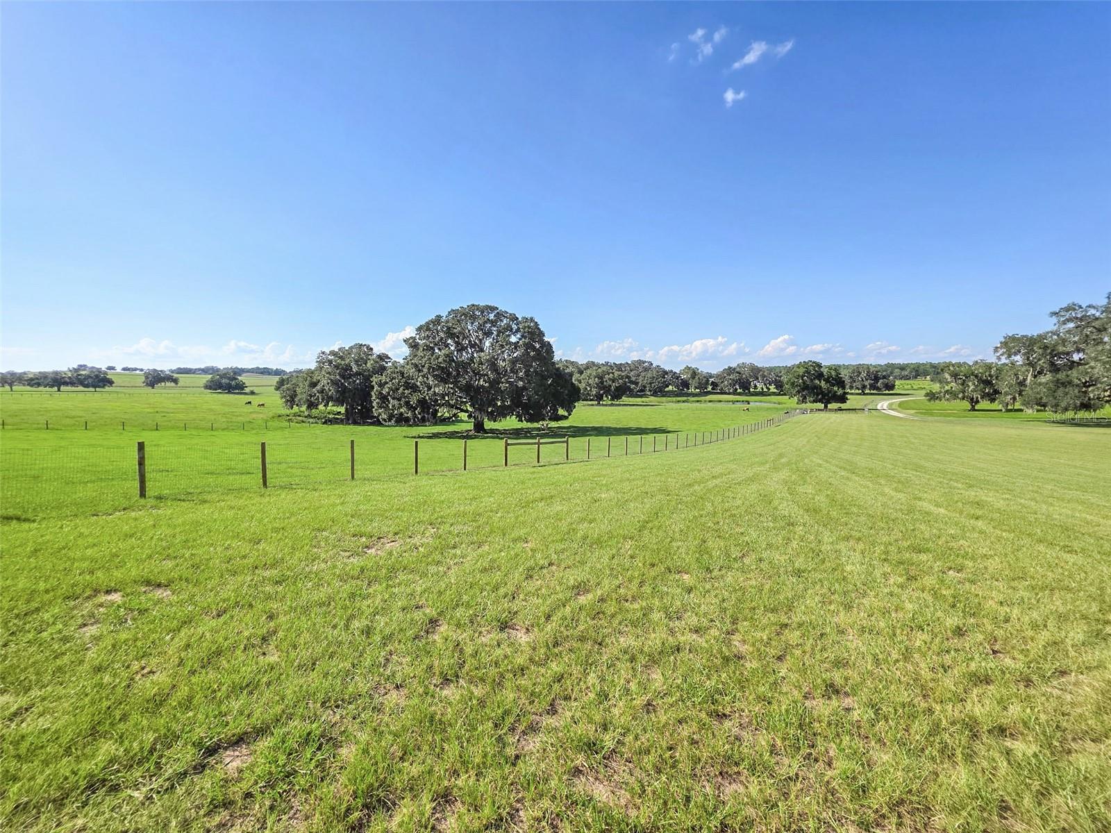 GOLD MEDAL FARMS - Residential