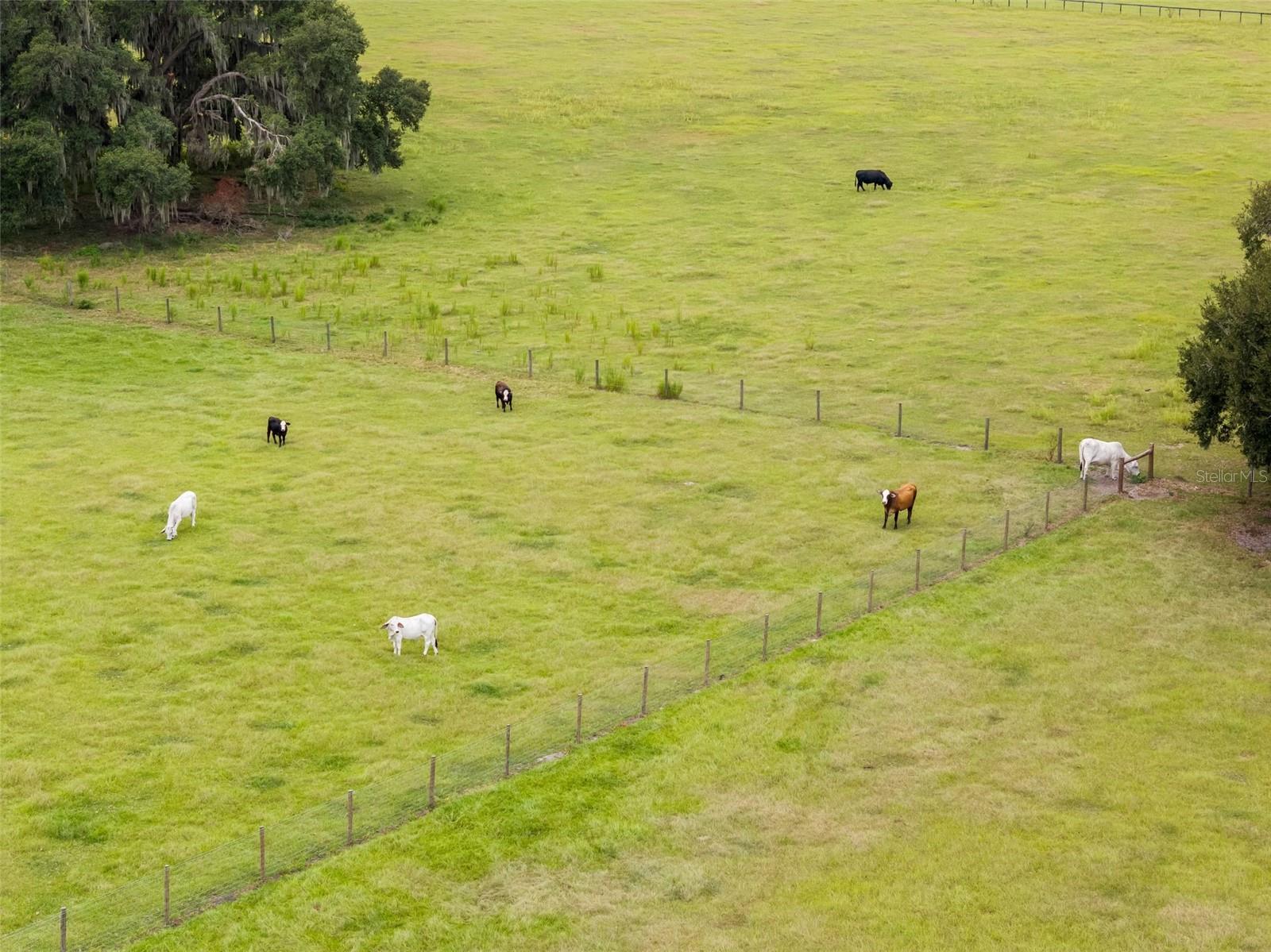 GOLD MEDAL FARMS - Residential