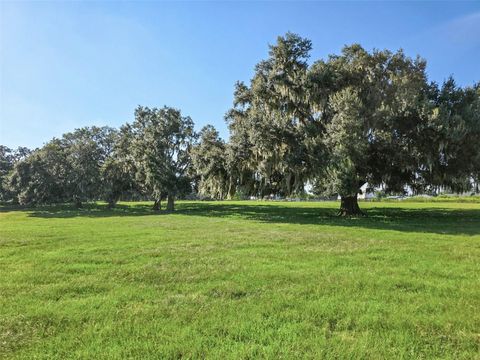 Tiny photo for 23220 NW 27th St, Morriston, FL 32668 (MLS # OM710235)