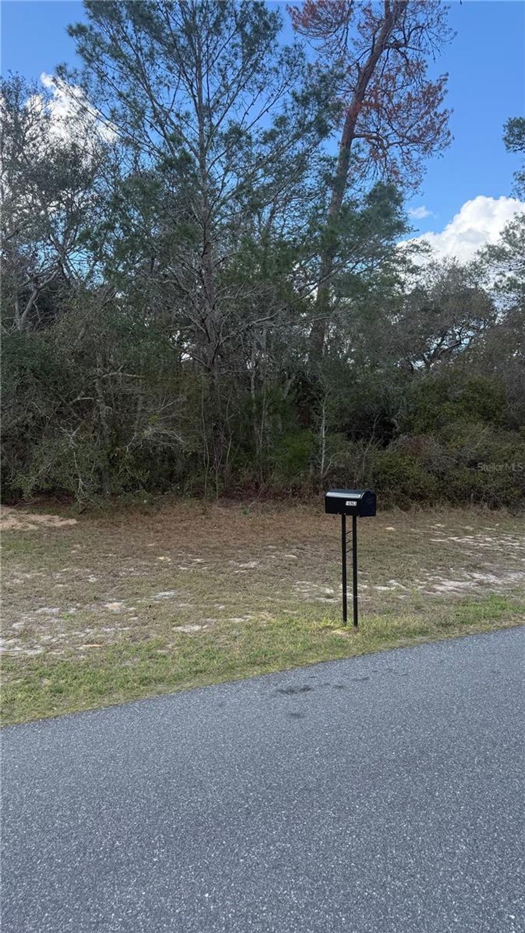 Photo of Tbd SW 40th Circle, Ocala, FL 34473 (MLS # OM720103)