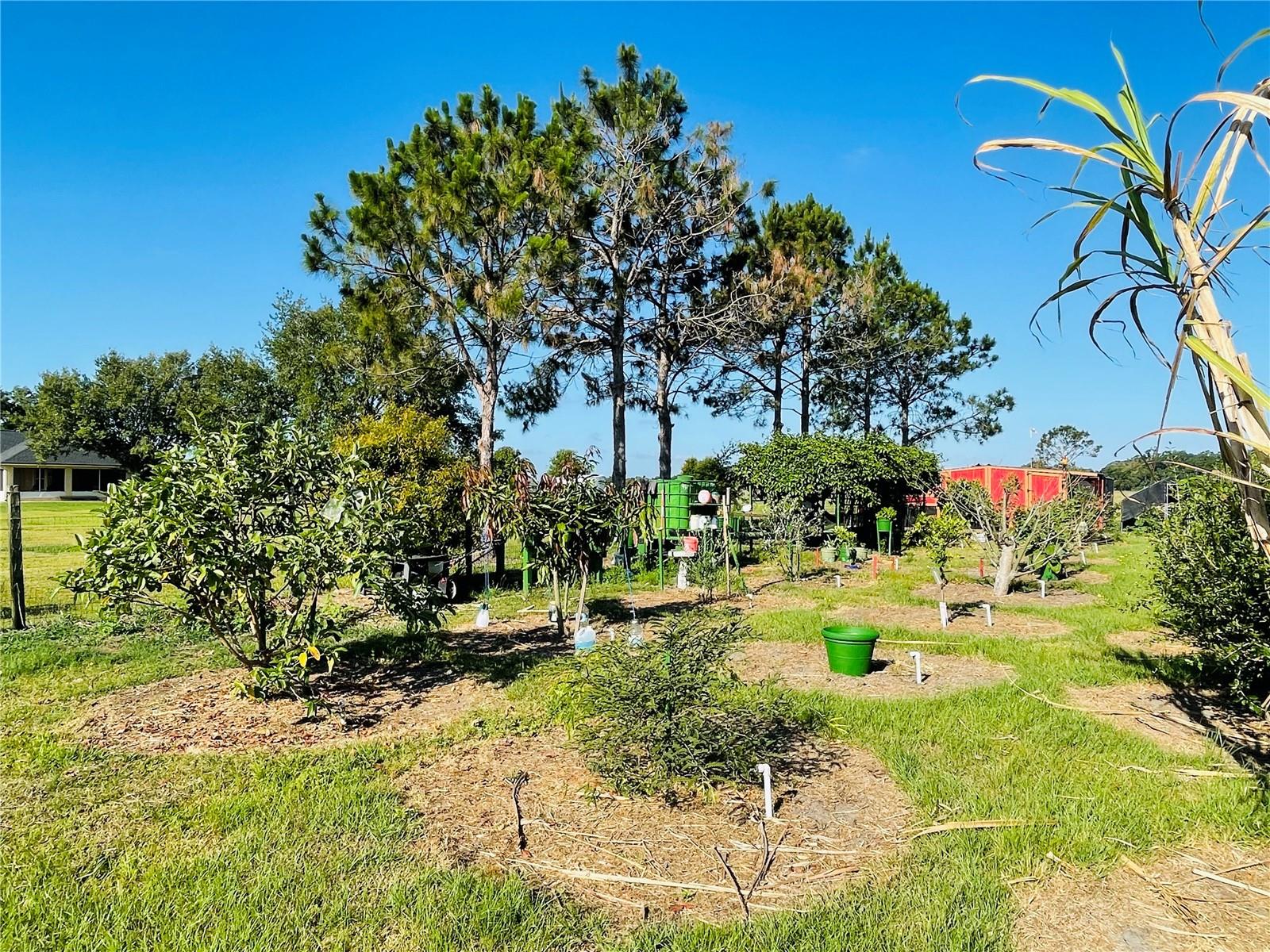 UNPLATTED - Residential