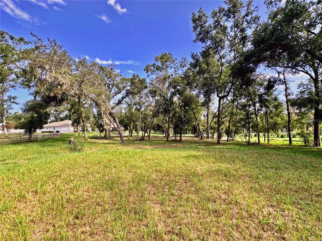 Photo of 35174 Roth Lane, Dade City, FL 33525 (MLS # TB8422970)