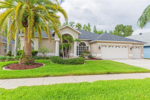 10002 COLONNADE DRIVE TAMPA FL 33647