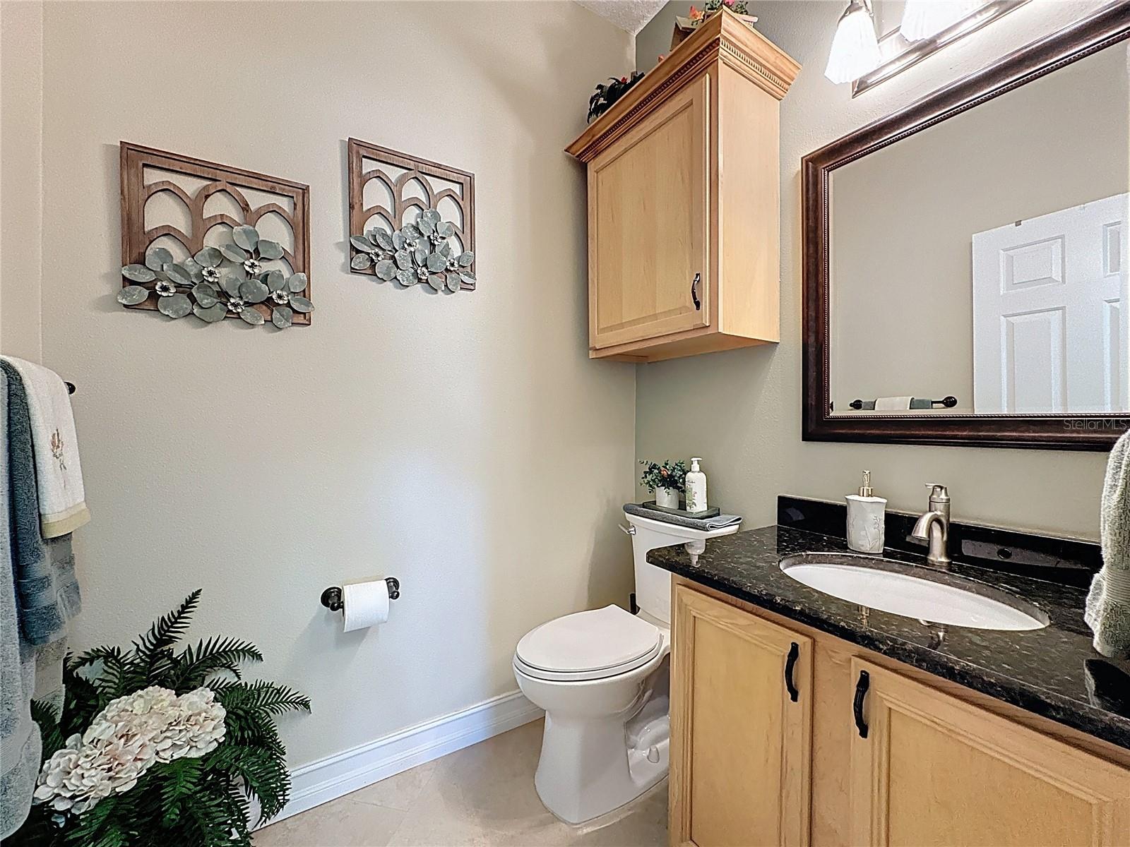 PLANTATION AT LEESBURG LONG MEADOW VILLAGE - Residential